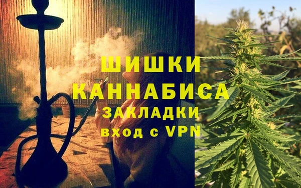 гидра Володарск
