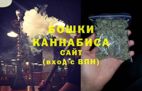гидра Володарск