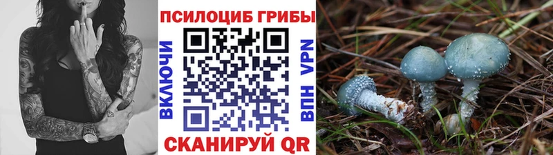 Купить  Дрезна  Псилоцибиновые грибы GOLDEN TEACHER 